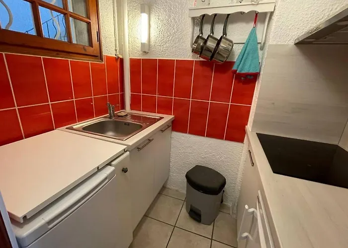 公寓 4 Couchages Ar490-022 滨海阿热莱斯