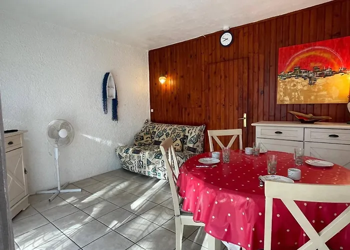 4 Couchages Ar490-022 公寓 滨海阿热莱斯