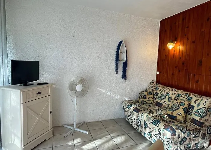 公寓 4 Couchages Ar490-022